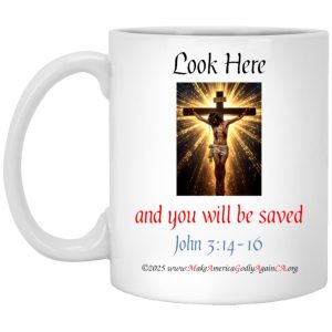 LOOK HERE and you will be Saved 11 oz. mug