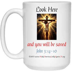 LOOK HERE and you will be Saved 15 oz. mug