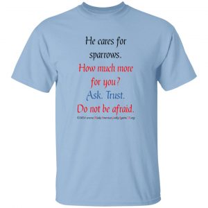 He Cares for Sparrows Men's tee shirt