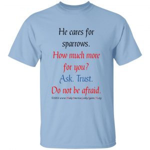 He Cares for Sparrows Youth t-shirt