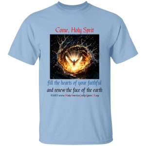 Veni Sancte Spiritus Youth t-shirt