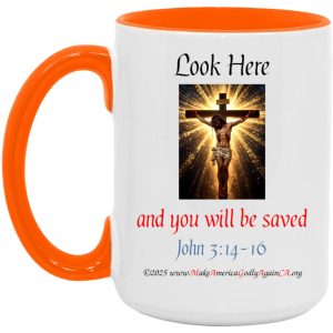 LOOK HERE 15 oz mug