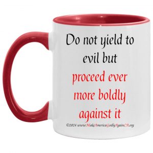 Proceed Boldly 11 oz. mug