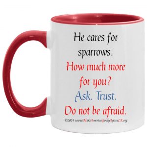 He Cares for Sparrows 11 oz mug