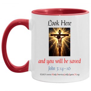 LOOK HERE 11 oz. mug