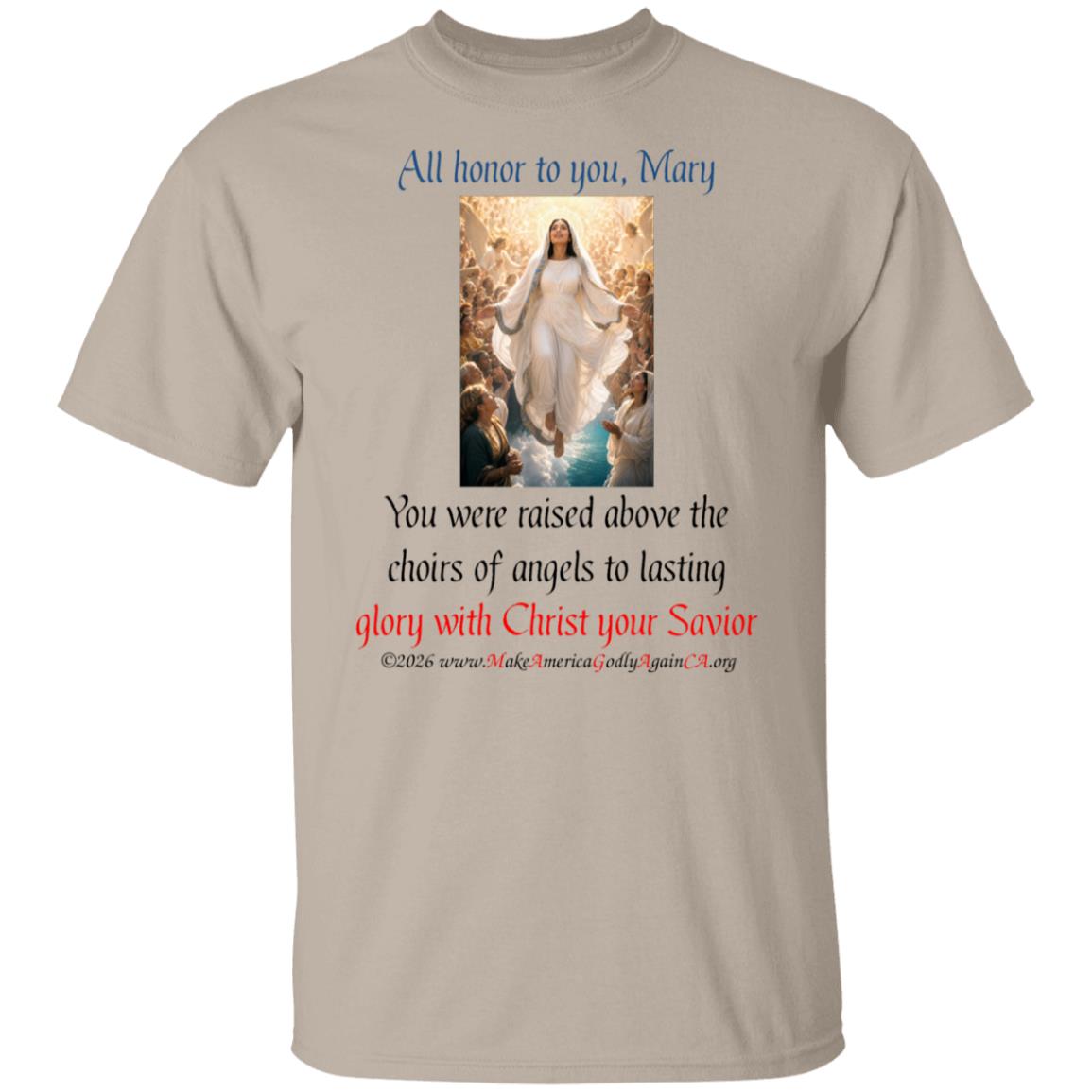 Mary Ascends into heaven - Image 2